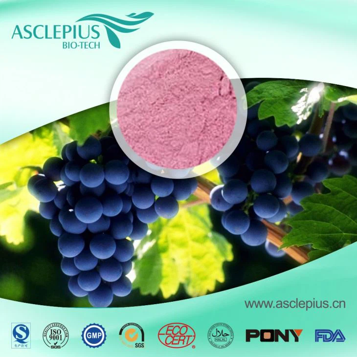White Grape Red Grape Juice Powder Supplier Wholesale