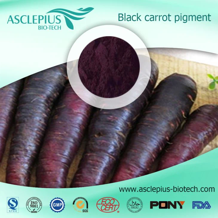 Black Carrot Concentrate Juice Powder Supplier Wholesale