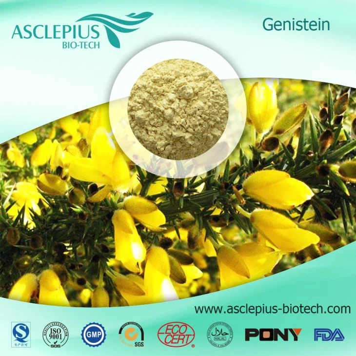 Genistein,5,7,4 '- 3-isoflavone Genistein,genistein Supplement supplier Wholesale