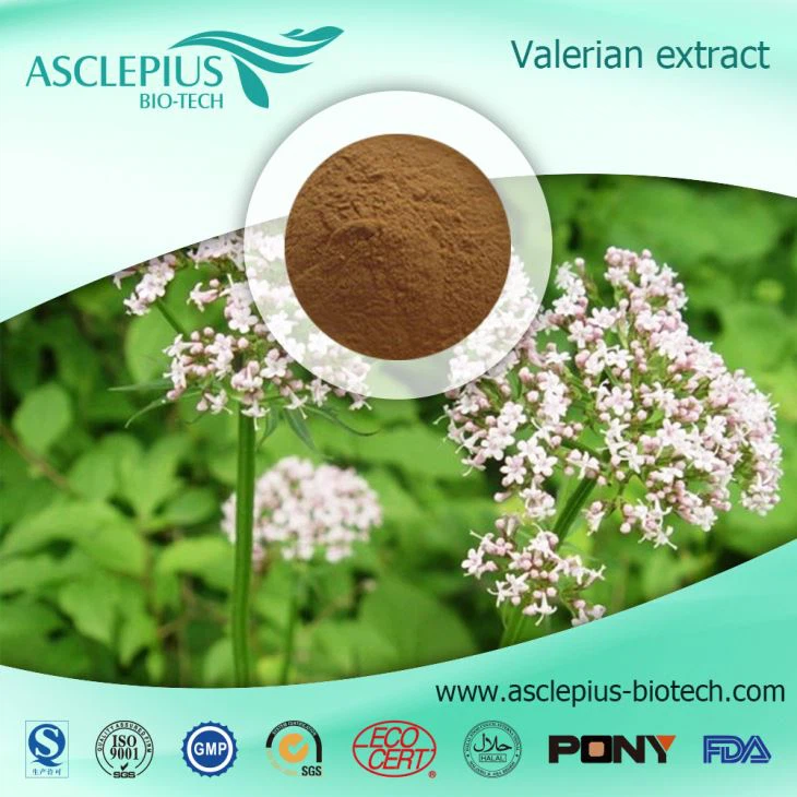 Valerian Root Extract Powder Supplier Wholesale /Valeric Acid