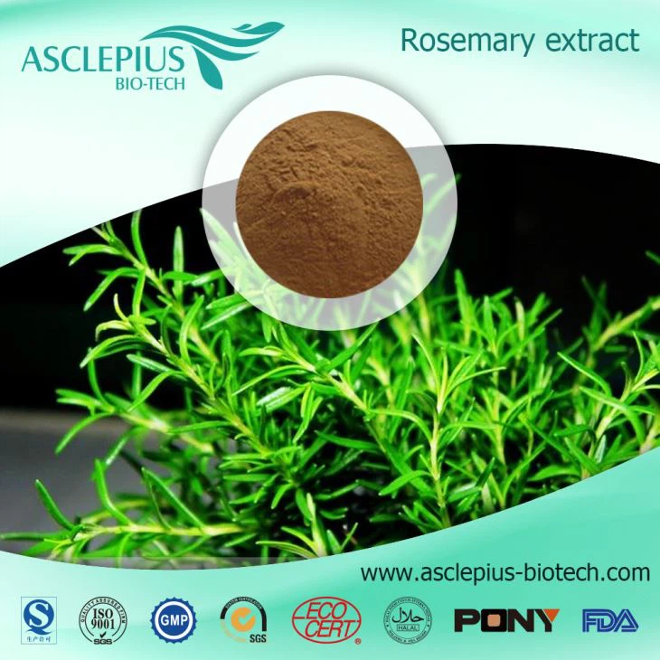 Rosemary Leaf Extract Supplement Supplier Wholesale/ Rosmarinic Acid
