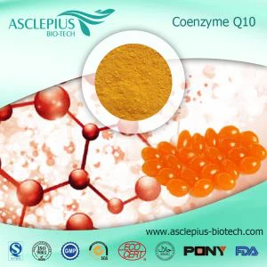 ผู้จัดจำหน่ายอาหารเสริม Coenzyme Q10 ขายส่ง