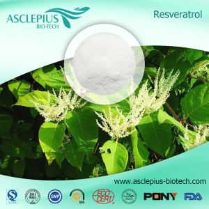 Resveratrol, ผงสารสกัดจากเปลือกองุ่น, ผู้จัดจำหน่ายสารสกัดจาก Knotweed ยักษ์ขายส่ง
